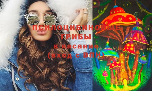 2c-b Богданович
