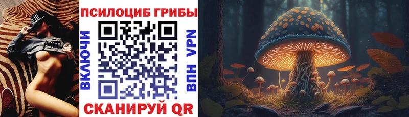 где можно купить   Дагестанские Огни  Галлюциногенные грибы Psilocybine cubensis 