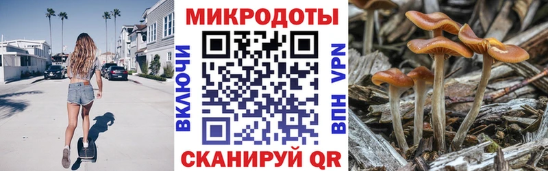 Псилоцибиновые грибы ЛСД Дагестанские Огни