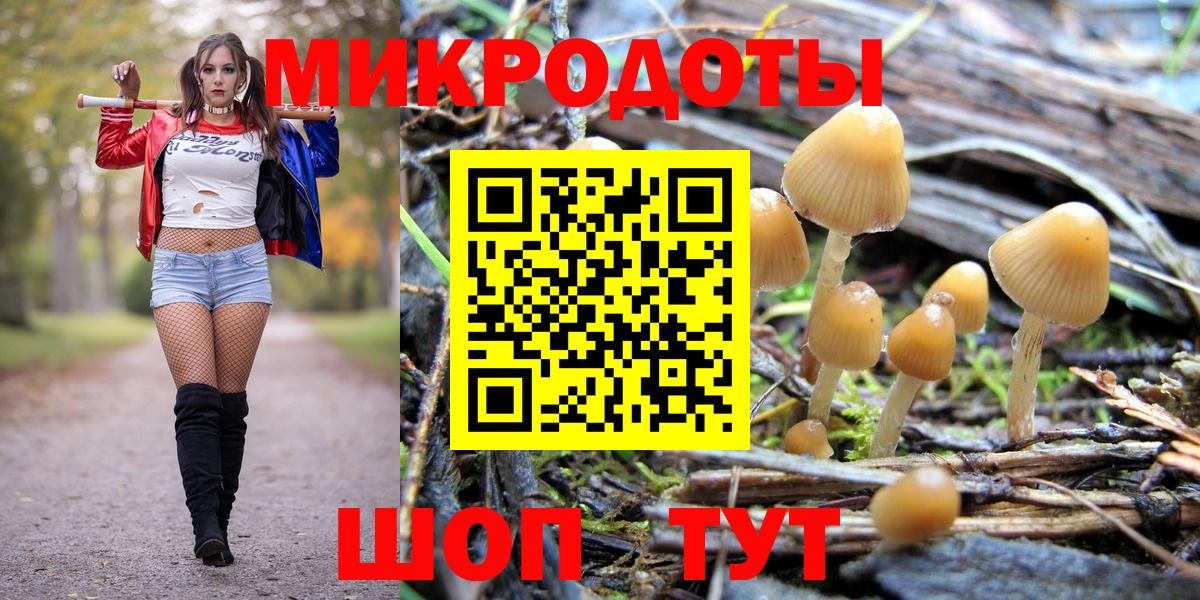 Дагестанские Огни  Псилоцибиновые грибы MAGIC MUSHROOMS  Псилоцибиновые грибы прущие грибы  Вход с VPN 