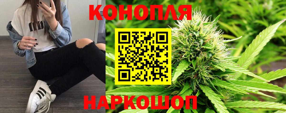 Конопля White Widow  Вход с VPN  Канабис MAZAR  Дагестанские Огни  Канабис семена 